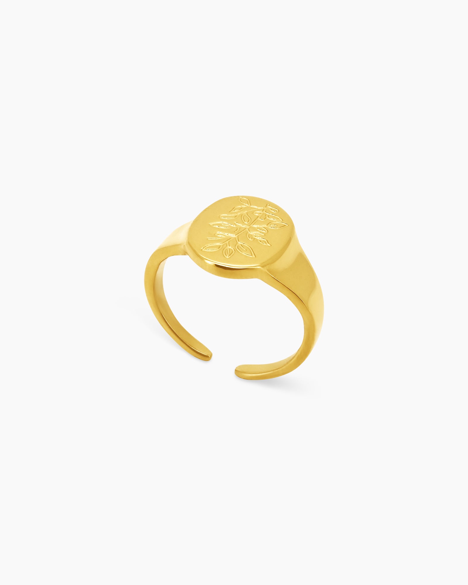 A statement ring with an engraved leafy branch on a smooth, oval face and a modern open-back design