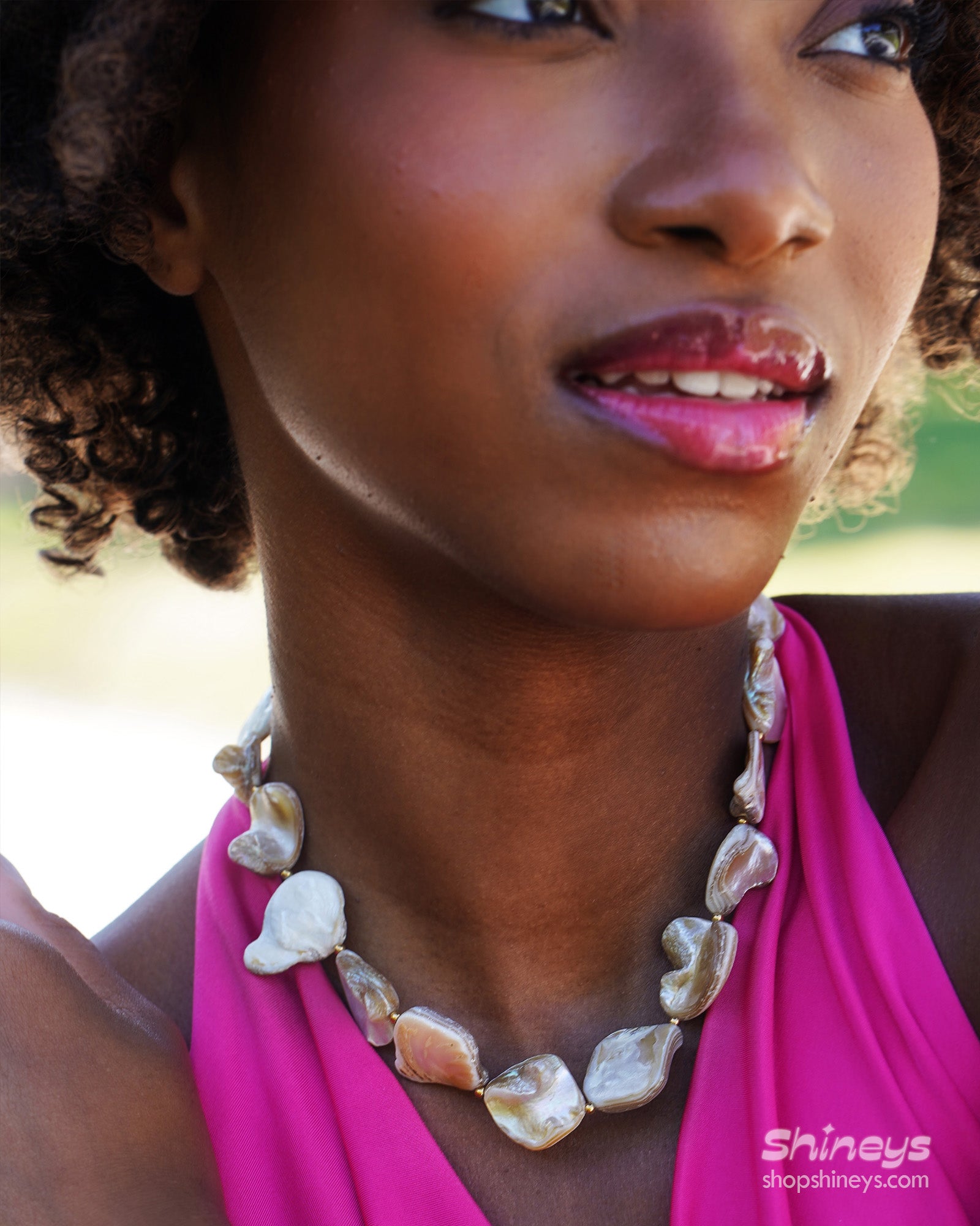 A choker of irregular shells in soft champagne hues with golden accents and a statement toggle clasp